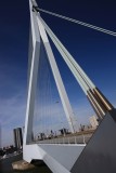 Rotterdam‎